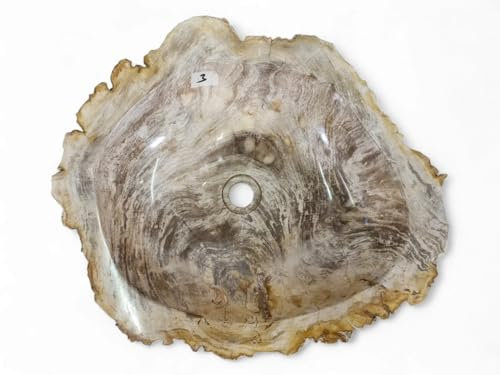 Versteinertes Holz Waschbecken XXL - Fossiles Holz Aufsatzwaschbecken - Waschschale aus Naturstein mit verschiedenen Maserungen und Farbverläufen (Variante 3)