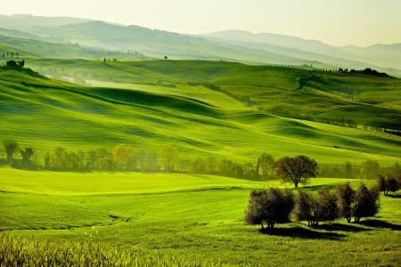 adrium Holz-Bild 120 x 80 cm: Landschaft, san quirico ´orcia, toskana, Italien(19427126)
