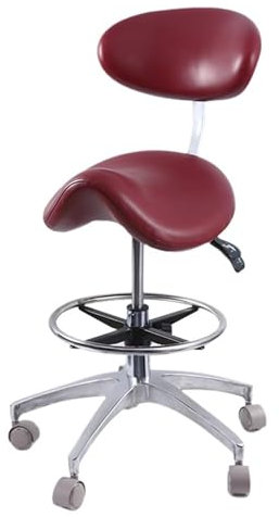 Sattelhocker mit Rückenlehne, ergonomischer Kosmetikerhocker, hydraulischer Sattel, rollbar, verstellbar für Salon, Tattoo-Shop, Spa, Klinik, A2