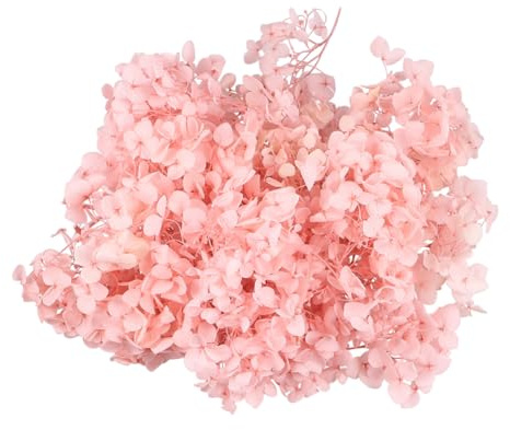 Ciieeo Petalo Essiccato Di Ortensia Naturali 20G Per Decorazioni Nail Art E Fai Da Te Rosa Naturale Per Compleanni E Matrimoni