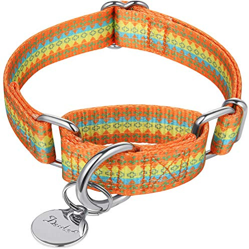 Dazzber Martingal Halsbänder für Hunde, Einstellbar-Heavy Duty- Weiche-Glatte-Leichtes Gehen Sie den Hund für Große/Klein Hunde (Groß, 2.5cm Breit, Orange und Gelb)