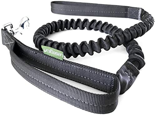 Leisegrün Elastische Hundeleine | Führleine für Hunde aus Nylon mit Kurzführer & Ruckdämpfer | Länge 130 cm bis 200 cm | Schwarz