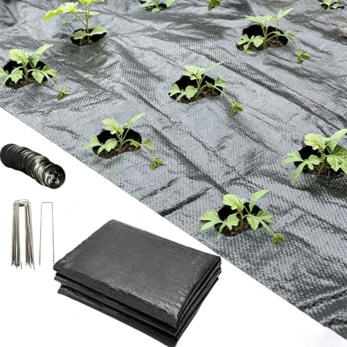 gardtree Tela de barrera de malezas de 5 x 50 pies, tela geotextil tejida de 3.2 onzas con agujeros de tres columnas, planta para repollo, lechuga, rábano, maíz, cacahuetes, etc.