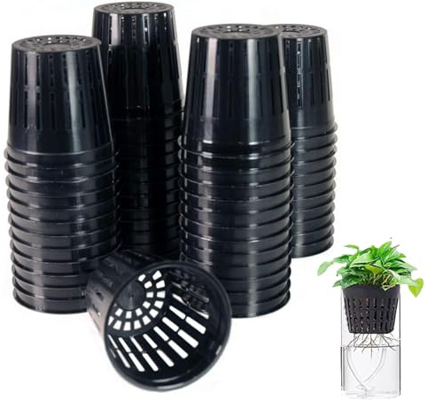 Caiyloxn Hydrokultur Netztöpfe Netztöpfchen 50 Stück Hydroponic System Töpfe Hydrokultur Topf 5cm Kunststoff Hydroponics Net Cup Töpfe für Hydroponics Supplies