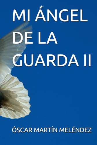 MI ÁNGEL DE LA GUARDA II