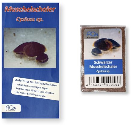 AQ4Aquaristik Schwarzer Muschelschaler - Cyzicus sp. - mit Anleitung - Zuchtansatz von Urzeitkrebsen - RARITÄT | für Aquarium, Triops, Fische, Garnelen, Schnecken