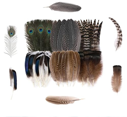 Cosmeria Natürliche Federn Set, 48 Stück In Sechs, Ideal Für DIY Bastelprojekte, Schmuck Und Dekorationen, Für Kreative Handwerksideen