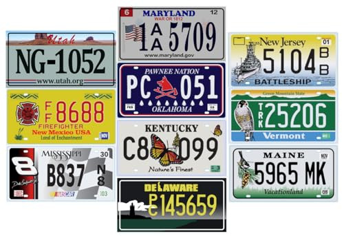 Juego de 10 Placas de matrícula metálicas de EE. UU. - Réplicas de Placas estadounidenses auténticas P11