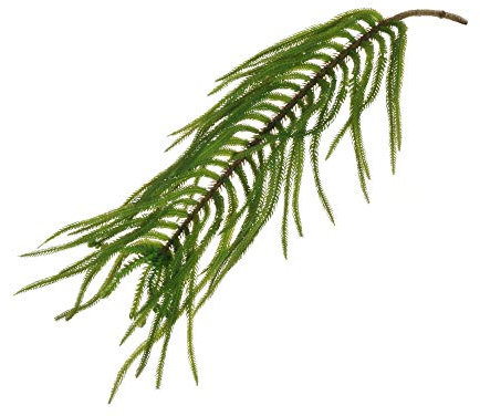 Zelda Bomboniere Bouquet Araucaria Soft Touch 75 cm Plante Artificielle