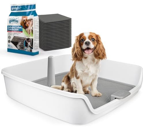 ALL FOR PAWS Dog Pee Pad Holder with Removable Post, 23.6 Indoor Dog Potty Training Tray, Puppy Toilet Litter Box for Small to Medium Sized Dogs