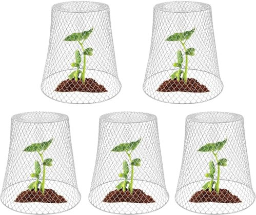 5Stück Pflanzenhut, Draht-Pflanzenschutzglocke, Pflanzenschutz-Gartenuhr aus Metall, um Kaninchen, Vögel, Hühner, Eichhörnchen und andere kleine Tiere draußen zu halten, 23 x 23 x 15 cm