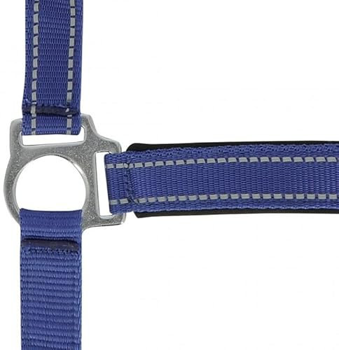 Symantec Halfter Norton Reflective