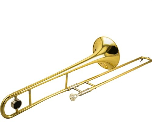 Professionelle Posaune Professionelle Alt-B-Zugposaune Aus Messing, Goldlackiert, Mit Zubehör Und Koffer