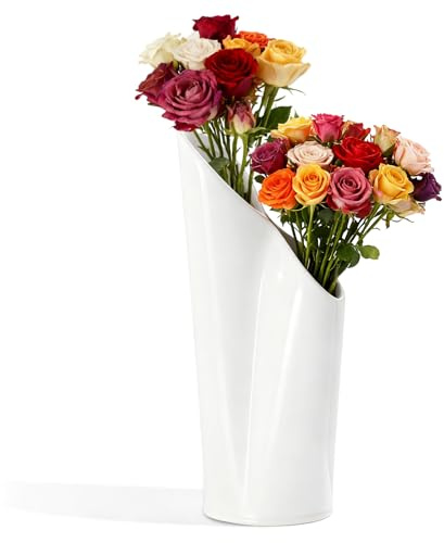 Qixuer Keramik Vase, Doppelmündliche Vase, Blumenvase Dekorative Vasen für Blumen, für Wohnzimmer, Esszimmer, Couchtisch, Büro, Hochzeit Dekor (Weiß)