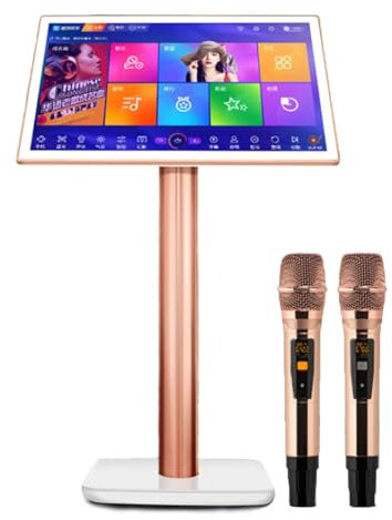 Máquina de karaoke KTV con pantalla táctil inteligente, control de aplicación móvil de 19,5/22 pulgadas, descarga de canciones en la nube con micrófono, reproductor de karaoke,19.5inch-1TB