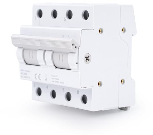 AC 380V Interruptor de conmutación Interruptor seccionador 2P 125A Interruptor aislador de transferencia manual de doble potencia Interruptor automático de enclavamiento Montaje en carril DIN