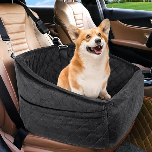 Hundbilstol för små och Medelstora Hundar, Förhöjd Hundstol, Avtagbar och Tvättbar Husdjursbilstol för Hundar Upp Till 15,9 Kg, Resesäng för Hund med Memory Foam (Svart)