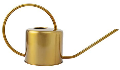 Sosoport Bouilloire Simple Arrosoir Acier Inoxydable à Long Bec pour Arrosage Précis des Plantes Intérieur Et Extérieur
