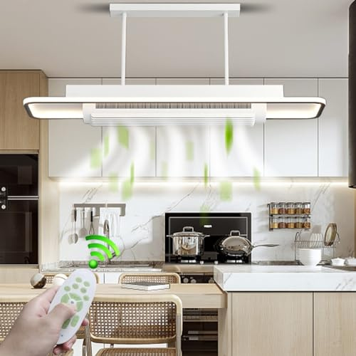 LYSDjia Ventilateur de Plafond avec Lumière et Télécommande 110cm Grand Luminaire Ventilateur Plafond sans pales Dimmable 6 Vitesses Réversible été/hiver Plafonnier Ventilateur Silencieux pour Chambre