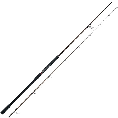 Westin Hechtrute zum Kunstköderangeln 255cm XXH 40-130g W4 Powercast 2nd