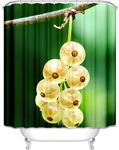 EHOMERY Waterproof Shower Curtain Machine Washable Curtains For Bathroom Farmhouse Currant Immature Bush Berry Pattern Curtainbath Mats Polyester, 180X180Cm