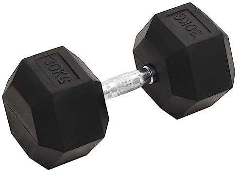 vidaXL Kurzhantel 30 kg Gusseisen