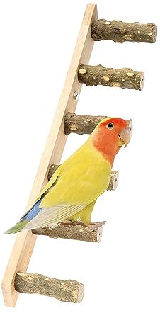 Leiter Vogel Spielzeug Papageien Leiter Vogelspielzeug Spielzeug Holzleiter Hölzerne Strickleiter Hamster Wooden Ladder Papagei Holz Kletterleitern für Kleine Bis Mittlere VöGel