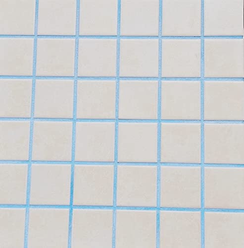 Fugenmörtel-Farben | Einsetzbar für Fugen im Innen- und Außenbereich auf Wand- und Bodenflächen (Hellblau, 1kg)