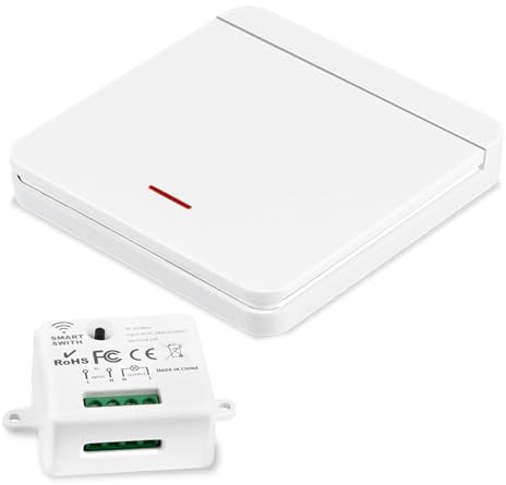 Funk-Lichtschalter, Funk-Sender-Sicherheitsschalter und Empfänger-Controller (1 Schalter und 1 Empfänger)