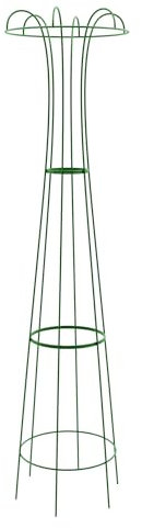 Élégant support pour rosiers Azure - Revêtement par pulvérisation vert anglais - Hauteur : 200 cm