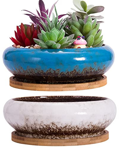 ARTKETTY Succulent Plant Pots, 2 PCS Large Bonsai Pot with Trays, Shallow Plant Pot Ceramic Pots for Indoor Cactus Flower Plants Decorative Garden Home Office
