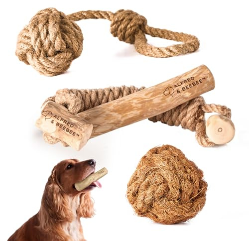 Alfred & Beebee Eco-Friendly Natural Coffee Wood Dog Chew Toy 4 Pack - for Regular Chewers - Dog Dental Chew - Small Medium - Coconut Ball, Rope Stick S - M