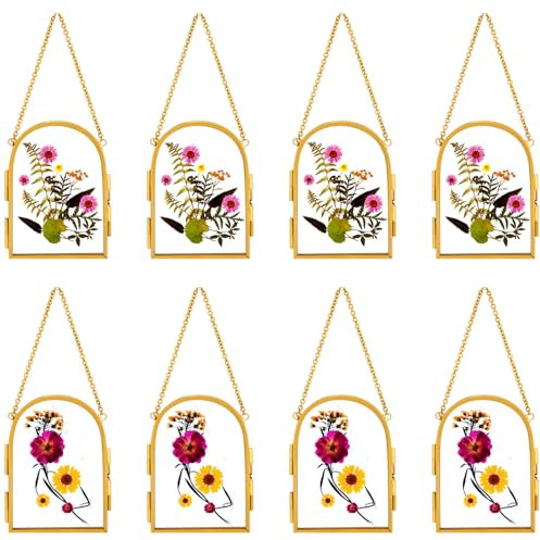 Qunclay 8 Pcs Glass Frame for Pressed Flowers 3.5 x 2.5 Inch Brass Hanging Photo Frame with Chain Arched Double Floating Picture Frames for Artwork Display DIY Dried Plant Specimen(Gold)
