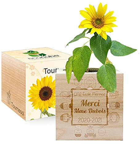 Amikado - Ecocube gravé Merci Maîtresse (Tournesol) - Plantes dans Un Cube en Bois - 100% Eco Friendly - idée Cadeau Durable