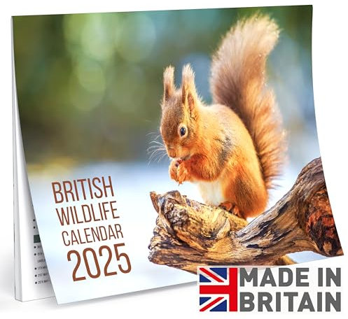 Calendar 2025 British Wildlife for Nature Lovers UK Calendar A3 Month to View Features 12 High Resolution Images (2025) Gifts Birthday Presents - Great Fathers Day Gift for Him
