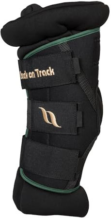 Back on Track Royal Gepolsterte Sprunggamaschen Deluxe mit Löchern – Reitsport-schützende, stützende Pferdegamaschen mit Klettverschluss, Grün, Größe L