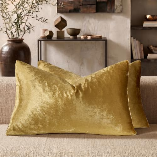 GIGIZAZA Oro De Lujo Terciopelo Almohadon Cubre Caso, Rayas Acento Confortable Funda de Cojin, Mejor Decoración Square Sham Fundas de Almohada para Sofá Sofá Cama Casa Decor 30x50cm Juego de Dos
