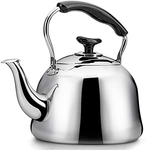 ZHANGZONG Bouilloire INOX Théière en Fonte Bouilloire sifflante Bouilloire Vintage Bouilloire de théières à café en Acier Inoxydable, Plaque de Cuisson, Bec Mince à col de Cygne, pour la Maison