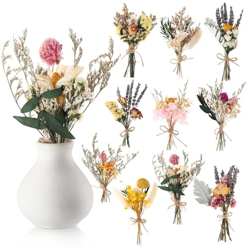Nuanchu 10 Pcs Mini Dried Flower Bouquet Mixed Natural Dried Flowers with Stem Boho Plant Stem Bunch for DIY Craft Card Home Party Photo Props Wedding Decor, 5 to 6 inches(Popular Styles)