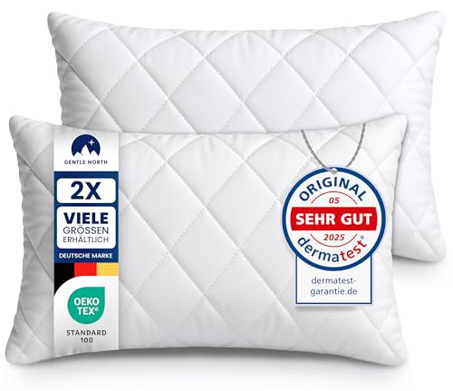 Gentle North Lot de 2 oreillers (50x75 cm Gros) - pour lit et comme Coussin canape décoratif - avec Fermeture éclair pour Le Rembourrage - Coussin de canapé - Lavable jusqu'à 60 °C, Certifié Öko-Tex