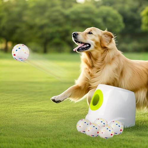 ALL FOR PAWS Automatisk hundboll launch, interaktiv hundboll kastare för stora och stora hundar, uppladdningsbar interaktiv valp husdjur hämtning leksak med 10–40 meter, 6 st ETPU