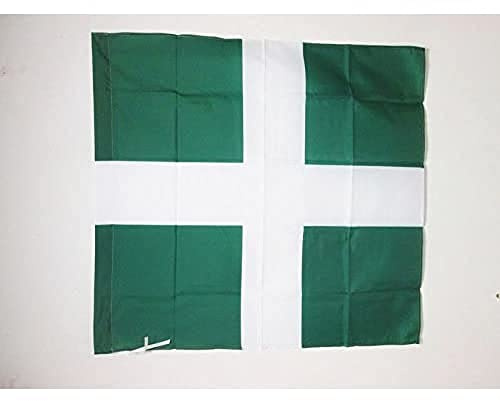 AZ FLAG Drapeau Ordonnance du Régiment de Champagne 1558-1795 90x90 cm | Usage intérieur et extérieur Drapeau décoratif français coutures doubles et bords renforcés avec fourreau pour mât
