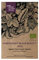 Aubergine 'Black Beauty' (Solanum melongena) Bio - ca. 30 Samen