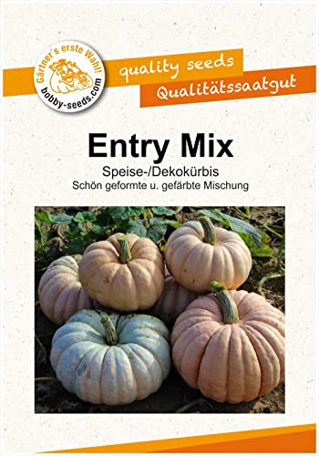 Kürbissamen Entry Mix Portion