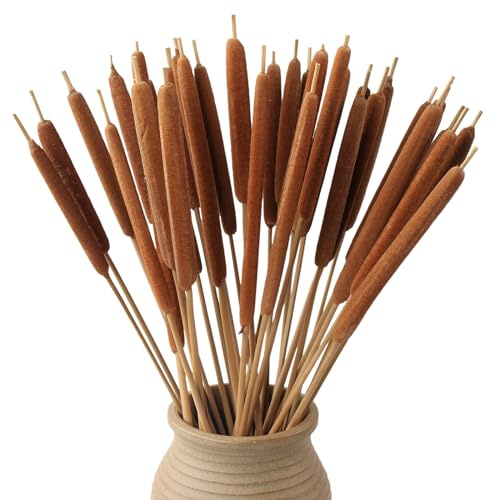 MIHUAGE Dried Natural Cattails - 30PCS for DIY Floral Arrangements and Home Office Decor - Jumbo Size 17 Inch Length Dia Around 0.7 inch