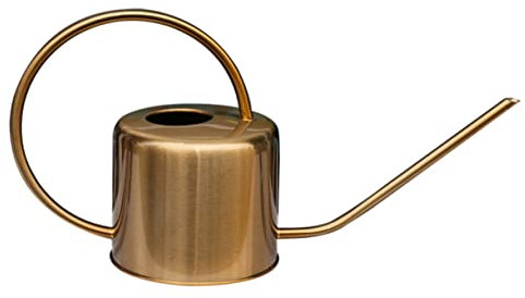ANDRESLAD 1pièce Arrosoir Acier Inoxydable Longue Poignée pour Plantes Succulentes Outil De Jardinage Doré pour Et Arrosage des Fleurs