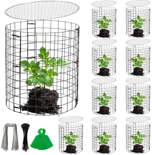 Adnee Draht-Pflanzenschutz mit Abdeckung, 30,5 x 27,9 cm, abnehmbarer Pflanzenschutz, Metall-Pflanzkäfige für Blumen, Gemüse, um Tiere fernzuhalten, 8 Stück
