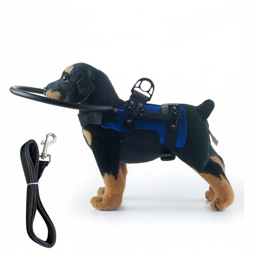 LAIOUSN Verstellbares Hundegeschirr mit Befestigungsleine für Atmungsaktivität in verschiedenen Umgebungen, integrierte Leine