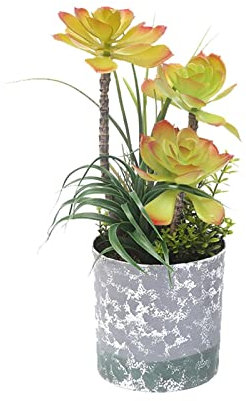 SUNESA Kunstbaum Artificial Succulent Plants Tropical Tree Fake Tree Bonsai Mini Agave Potted for Home Desktop Shelf Porch Decor Künstliche Pflanzen (Color : D)