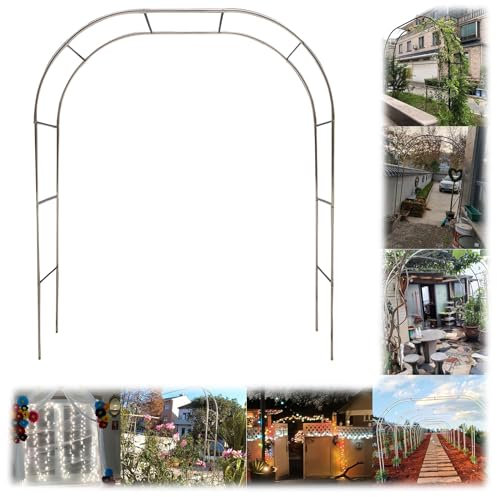 Arche De Jardin En Acier Inoxydable - Largeur Latérale : 38 Cm - Arche De Vigne Robuste Pour Support De Plantes, Arche De Roses Arcade De Jardin - Résistant Aux Intempéries(Color:25mm,Size:3.2*2.4m(10